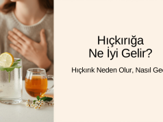 Hıçkırığa Ne İyi Gelir? | Hıçkırık Neden Olur, Nasıl Geçer?🤢